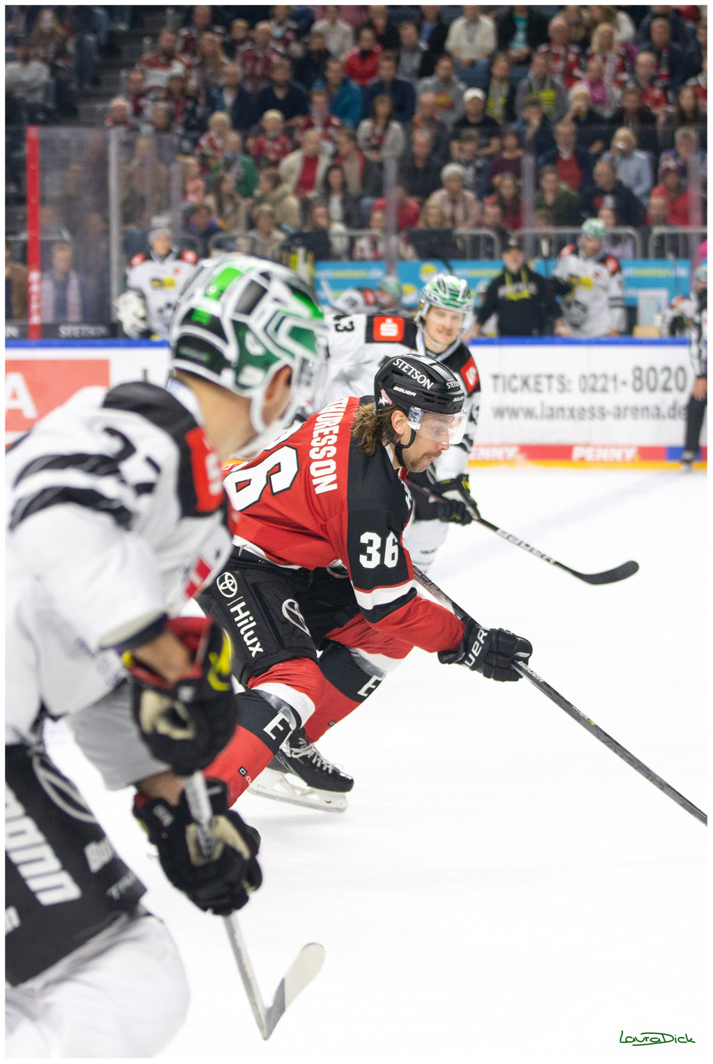 PENNY DEL;  Koelner Haie - Krefeld Pinguins; Koeln, 31.10.2021